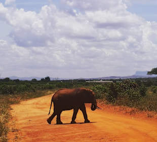 Tsavo Ost Nationalpark