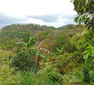 Puncak Becici