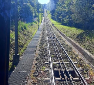 Fahrt mit der Königstuhlbahn