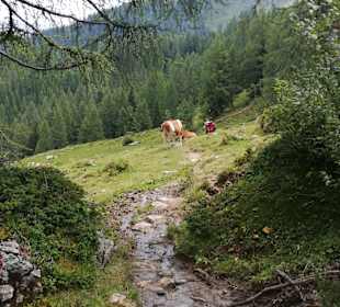 Wandern Kleinarl
