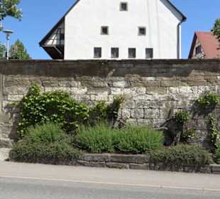 Schloss-Scheuer Baisingen
