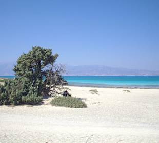 Insel Chrissi