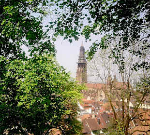 Freiburg Schlossberg 1