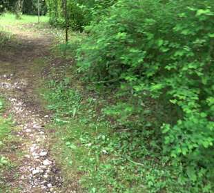 Gebetsgarten Heiligenbronn