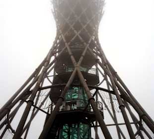 Vinarium bei Nebel