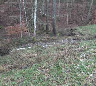 Wanderung rund um den Ochsenweiher