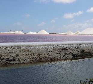 Salinen auf Bonaire