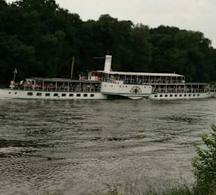 Schaufelraddampfer in Pillnitz