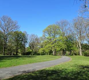 Eindrücke aus dem Braunschweiger Bürgerpark