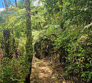 Low-Level Loop Waiorongomai Valley