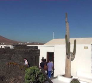 Fundacion Cesar Manrique