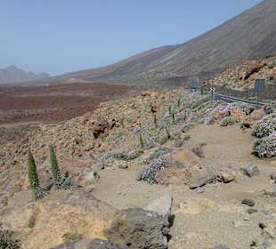 Nationalpark --> Teide