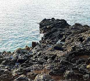 Cap Méchant