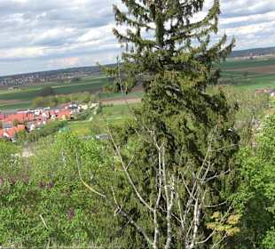 Wallersteiner Felsen