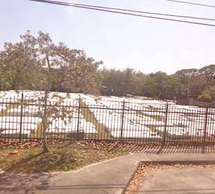 Blick auf den Friedhof