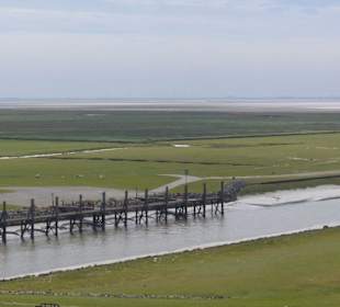 Ausblick vom Aussichtsturm 