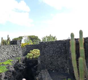 Fundacion Cesar Manrique