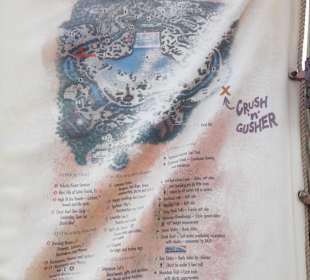 Disney's Typhoon Lagoon