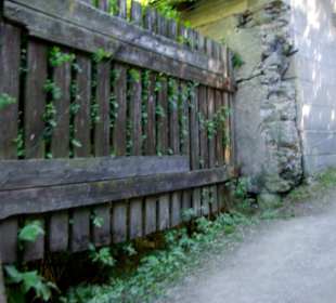 Zaun zum Schlossgarten