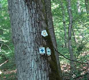 Rundwanderung Klingenbachtal - Sulzbachsee