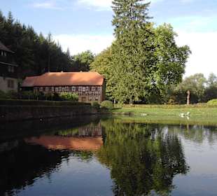 Wasserschloss Mespelbrunn - Schlosspark