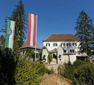 Schloss Kapfenstein