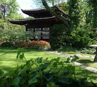 Japanischer Garten Leverkusen