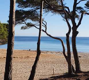 Cala Agulla/ Cala Guya