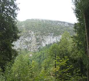 Über den Bergwald-Erlebnispfad hoch zum Frillensee