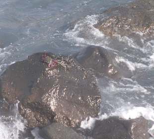 Hotel H10 Tenerife Playa