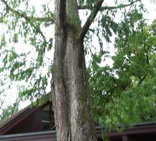 Schlösslepark Kressbronn