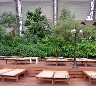 Sonnendeck an der Südsee