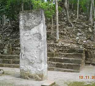 Stelen (die Geschichtsbücher der Maya)