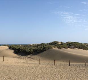 Dünen von Maspalomas