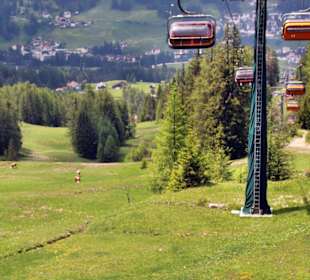 Die Wiesen von Pedraces