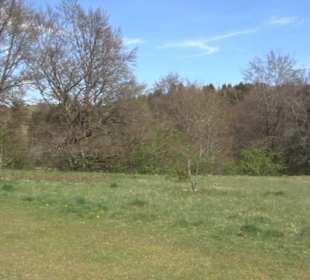 Rundweg am Beutenlay