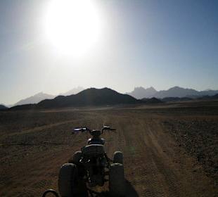 Quad + Wüste, das passt gut zusammen 
