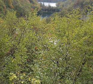 Bei den Plitvicer Seen