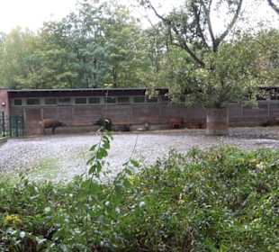 Tierpark