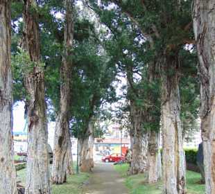 Stadtrundgang San José