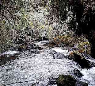 Rundweg „La Isla“ Path