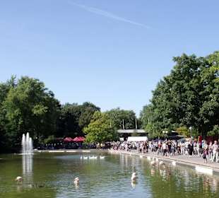 Blick vom Fersehturm