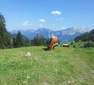Natur