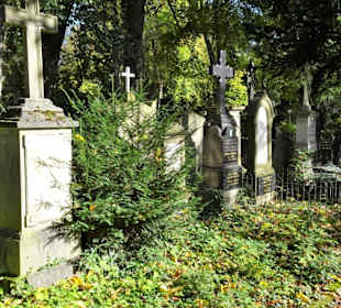 Rundgang über den Alten Friedhof in Bonn