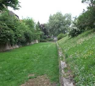 Zwinger