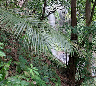 Parque Natural Obô do Príncipe