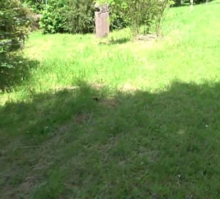 Alter Friedhof Altensteig