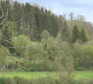 Premiumwanderweg Hochgebürzelt