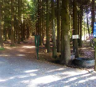 Der neue Wildpark in Bad Marienberg