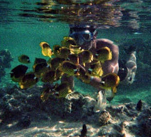 Hausriff des Hotel Akassia Swiss Resort El Quseir